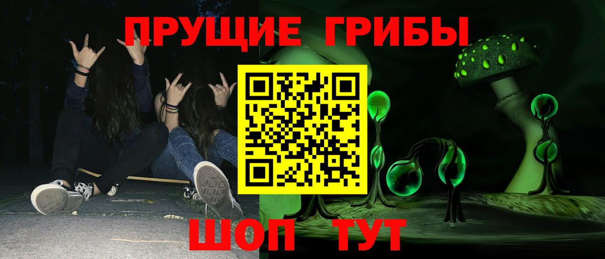 Самара  Галлюциногенные грибы Psilocybine cubensis  Галлюциногенные грибы Magic Shrooms  цена   Вход с VPN 